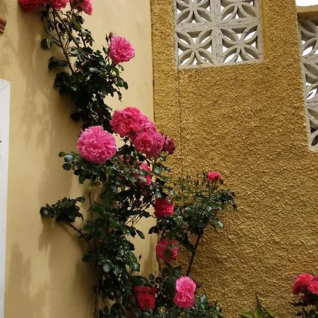 Villa Humboldt La Orotava Exterior photo